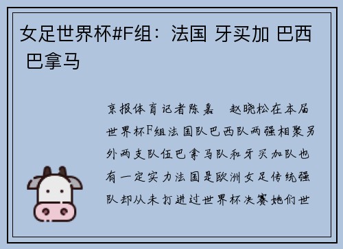女足世界杯#F组：法国 牙买加 巴西 巴拿马